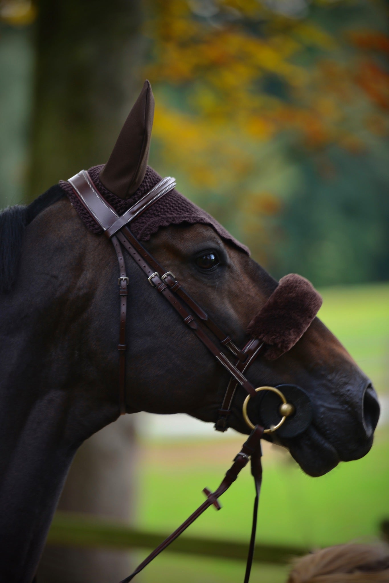 SHEEPSHIN NOSEBAND COVER