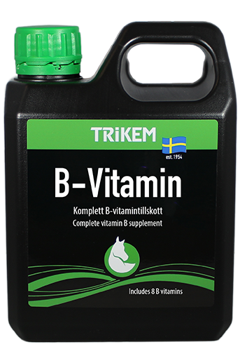 B-VITAMIN LIQUID