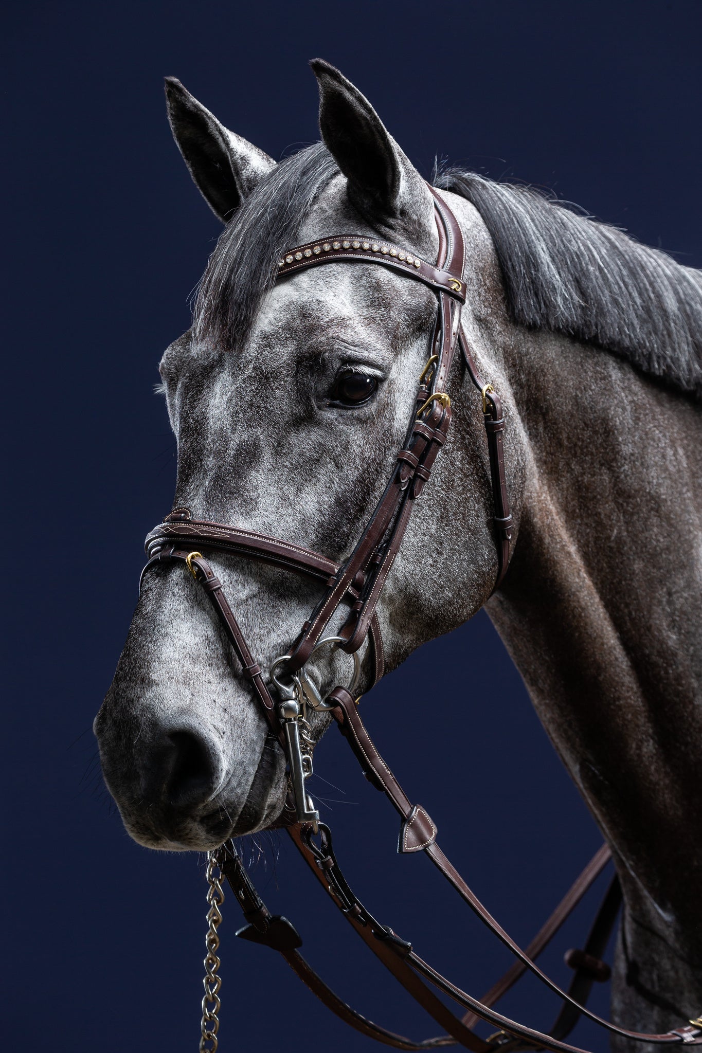 DY'ON FLASH NOSEBAND DOUBLE BRIDLE JUMPING