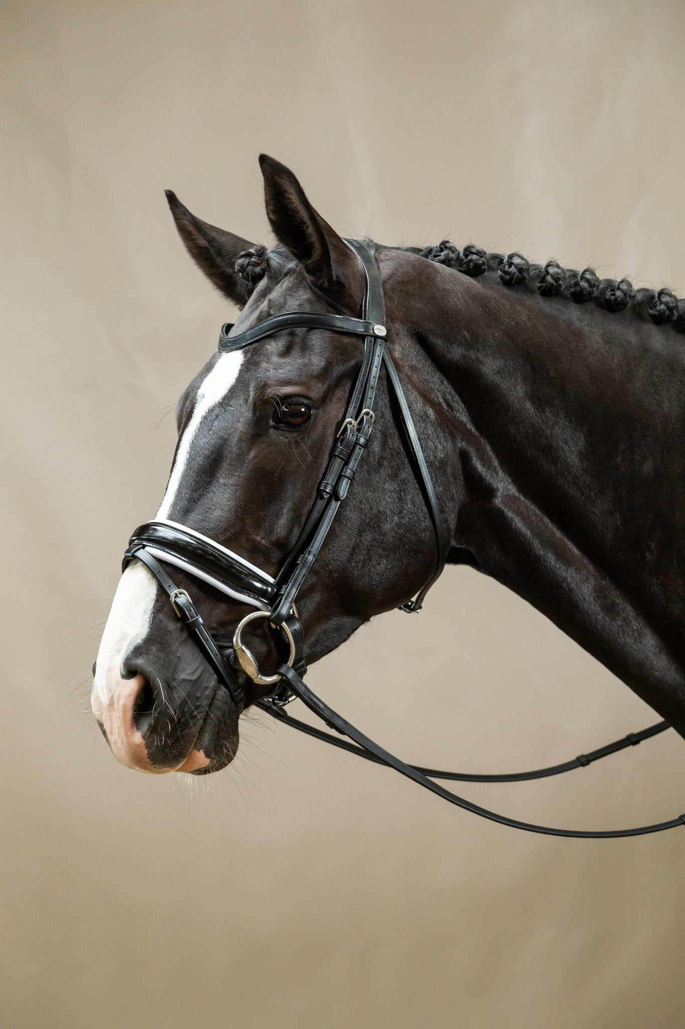 DY'ON PATENT LARGE CRANK NOSEBAND BRIDLE