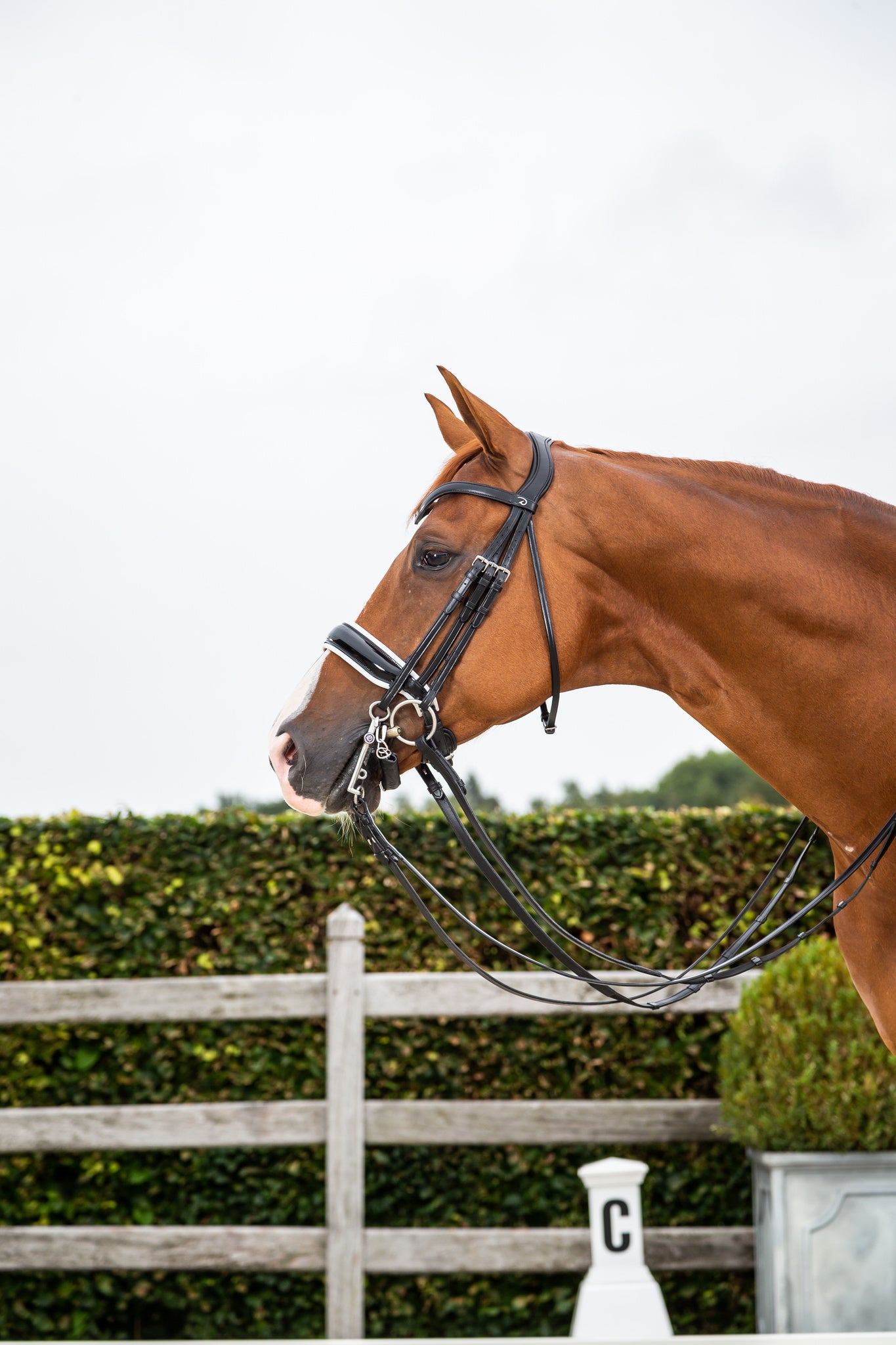 DY'ON MATTE LARGE CRANK NOSEBAND