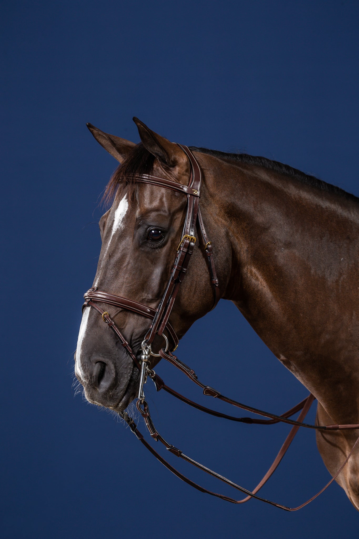 DY'ON FLASH NOSEBAND DOUBLE BRIDLE JUMPING