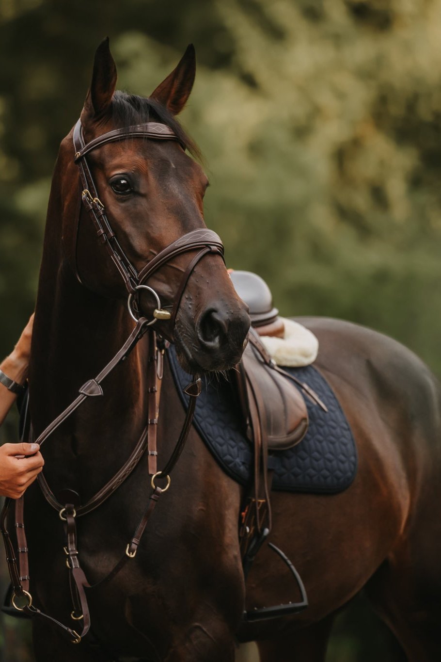 DY'ON ANATOMIC FLASH NOSEBAND BRIDLE