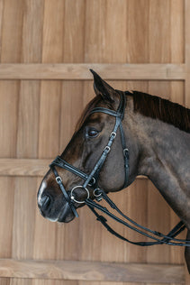 WORKING MOTION BRIDLE