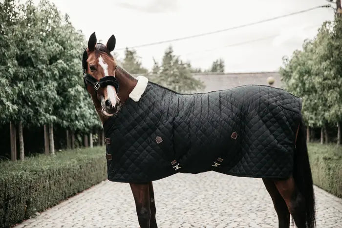 STABLE RUG