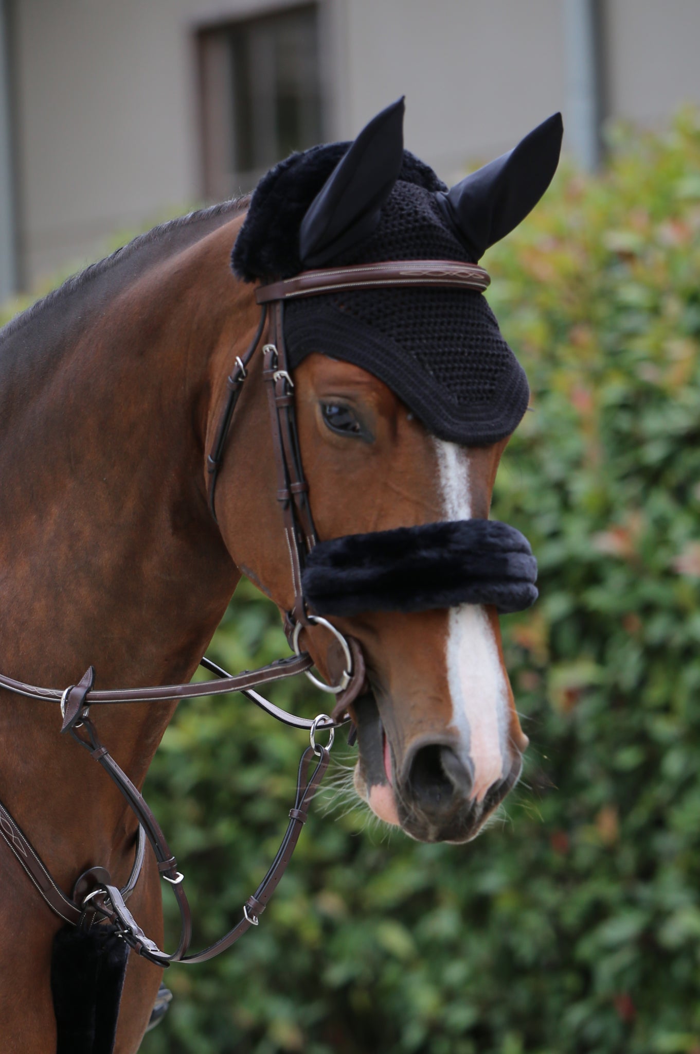 SHEEPSHIN NOSEBAND COVER