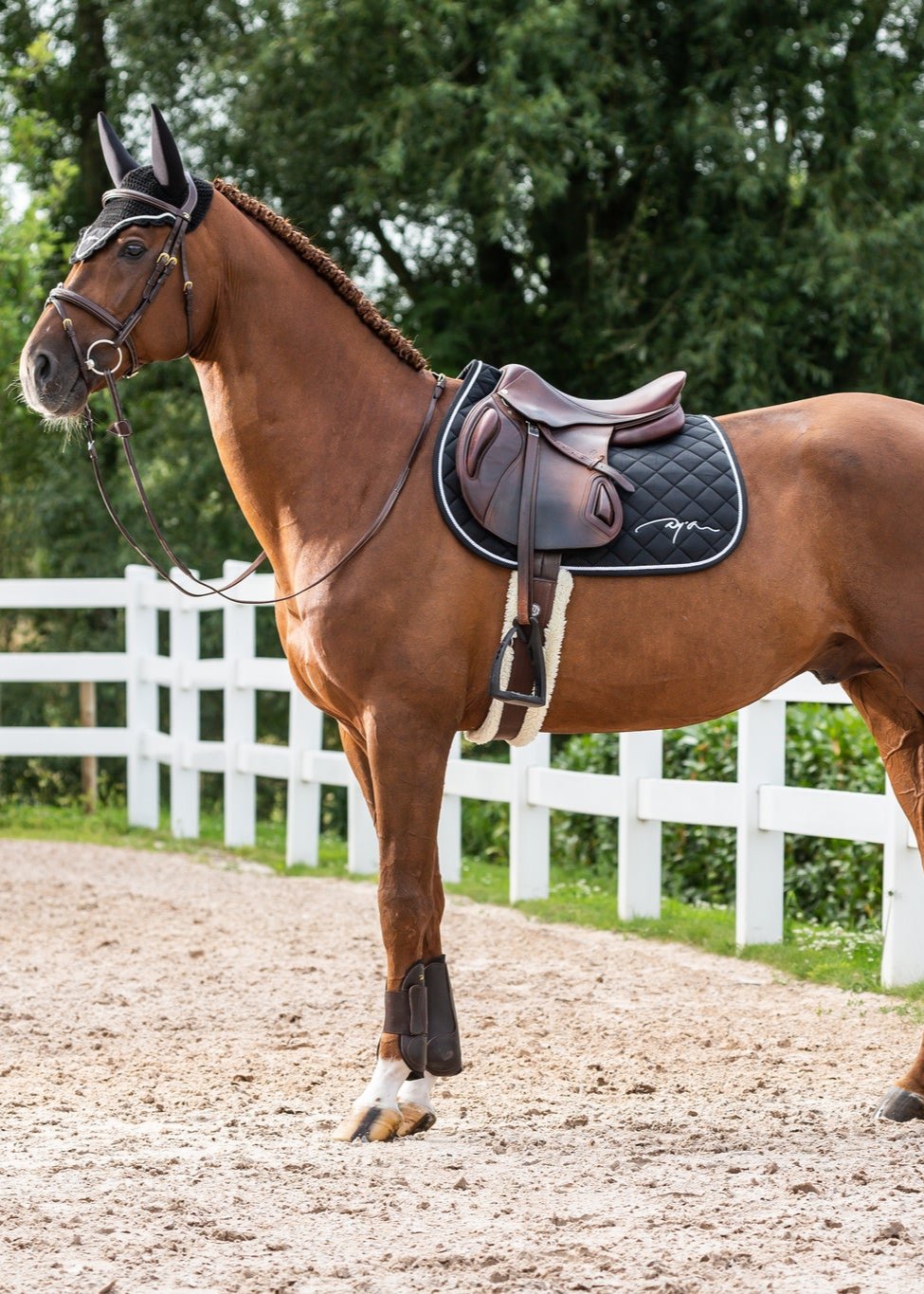 DY'ON DIAMOND SADDLE PAD