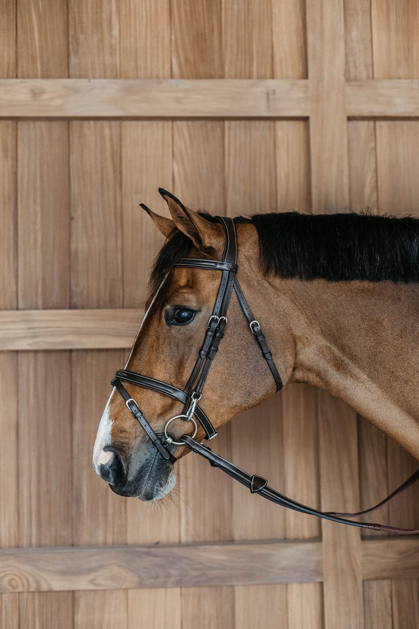 DY'ON FLASH NOSEBAND BRIDLE WITH SNAP HOOK