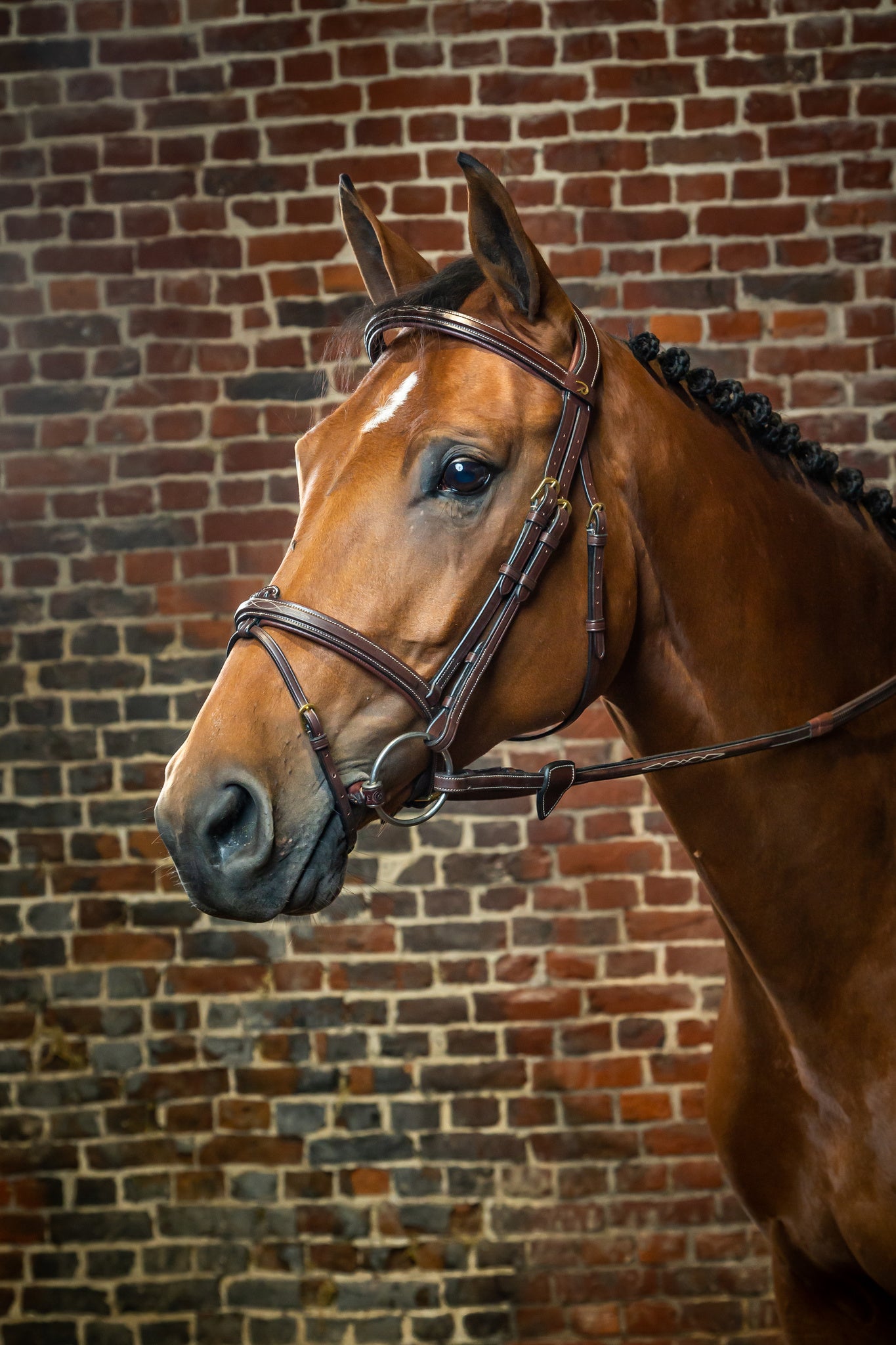 DY'ON FLASH NOSEBAND BRIDLE