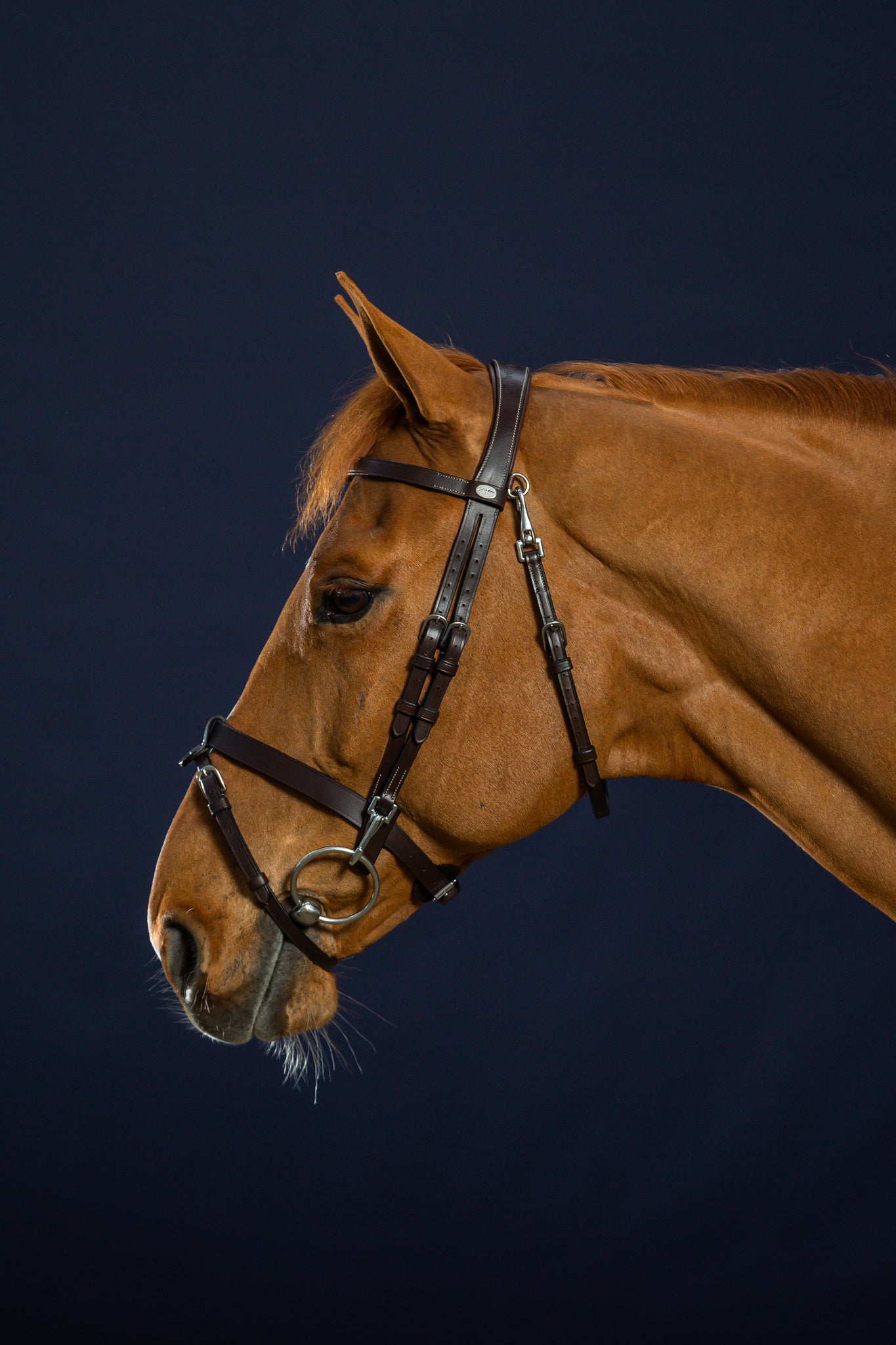 DY'ON FLAT LEATHER BRIDLE