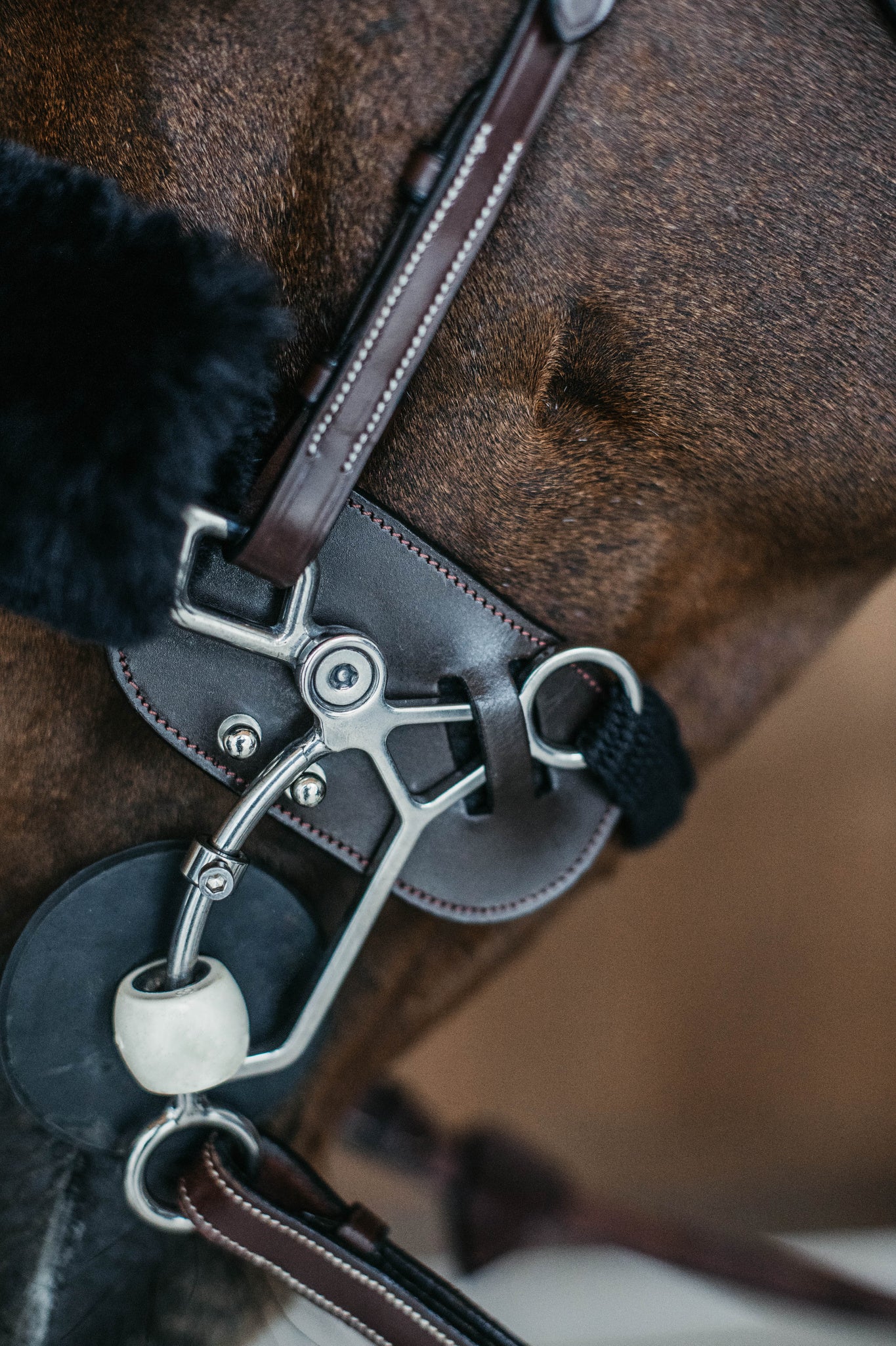 DY'ON HACKAMORE PROTECTION