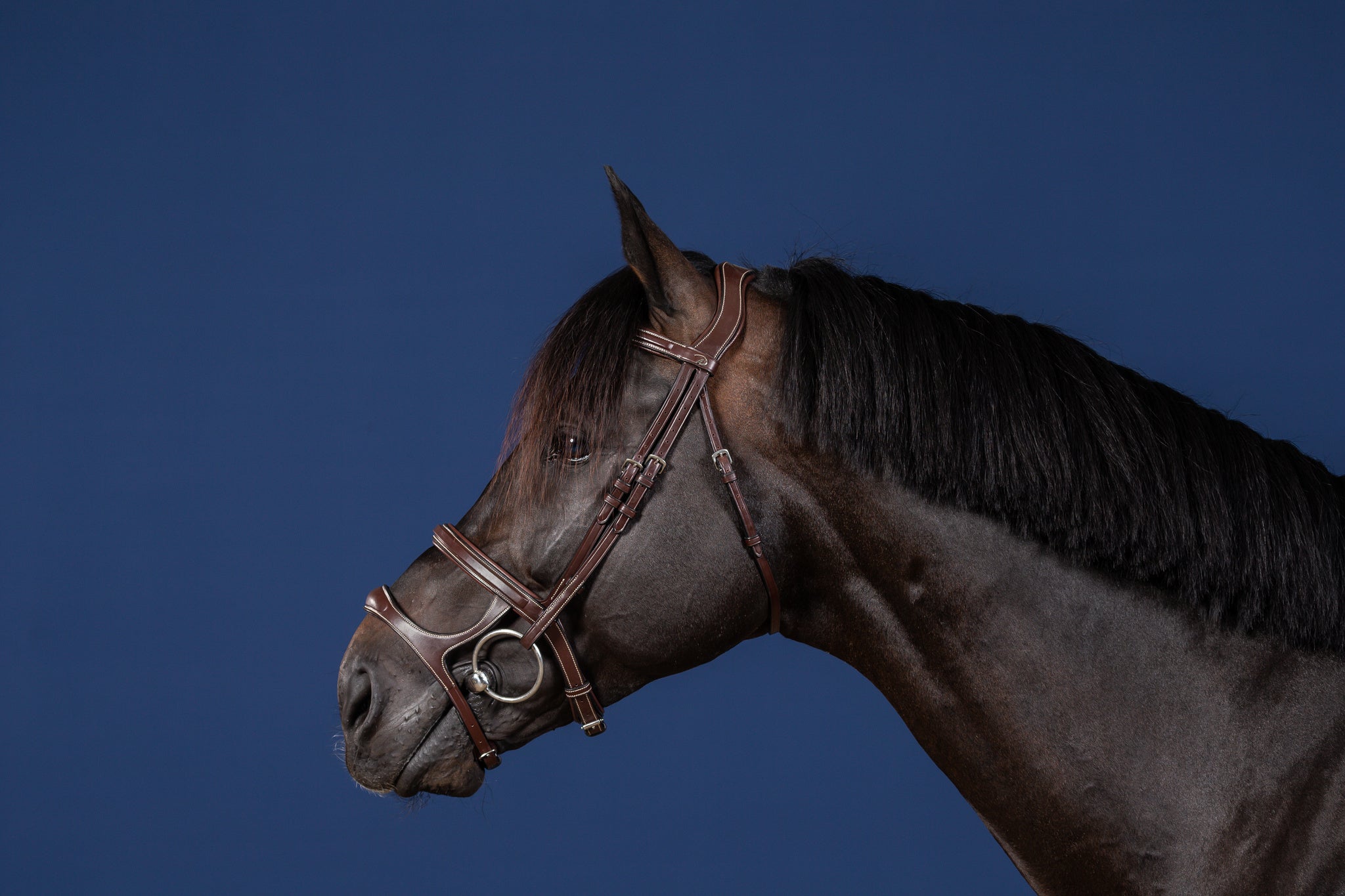 DY'ON DOUBLE NOSEBAND BRIDLE