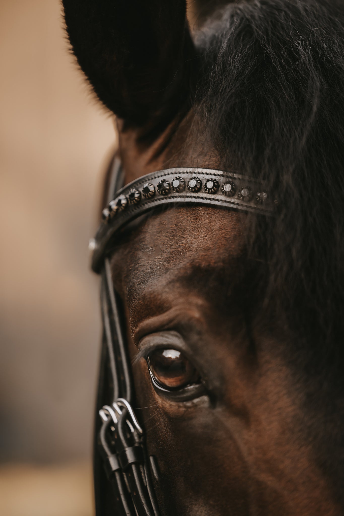 SWAROVSKI V-SHAPED BROWBAND