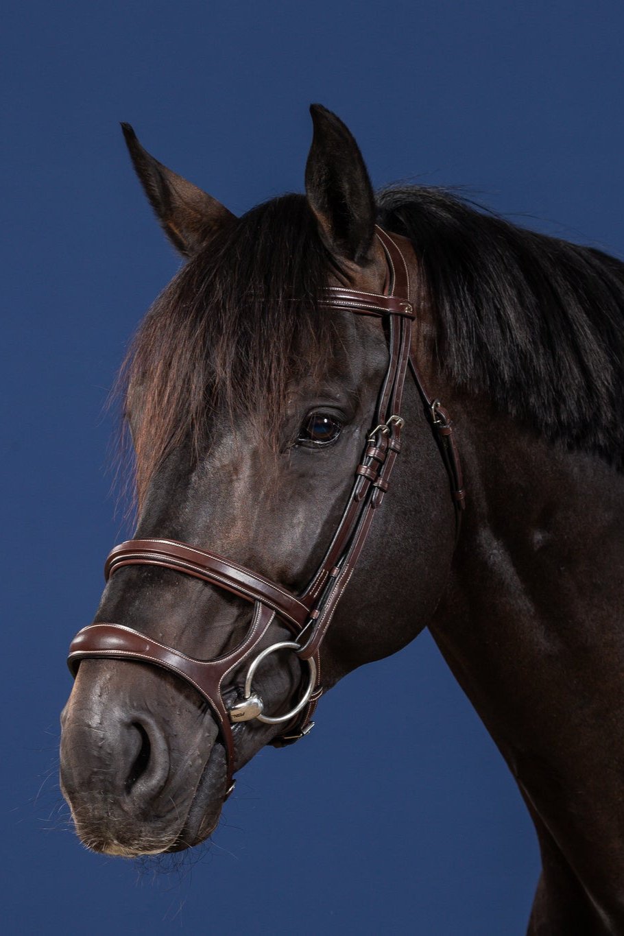 DY'ON DOUBLE NOSEBAND BRIDLE