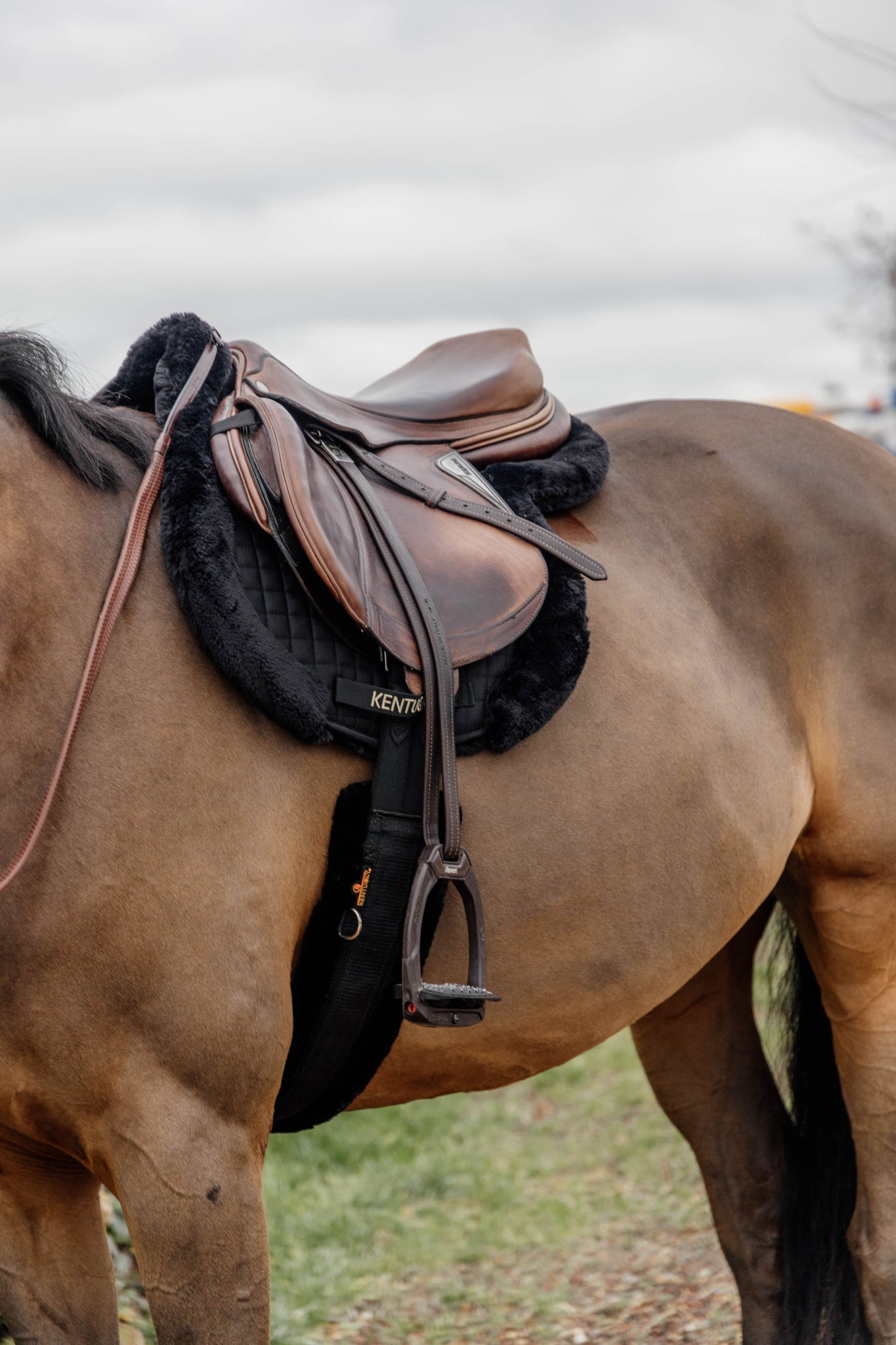 SADDLE PAD HUNTER