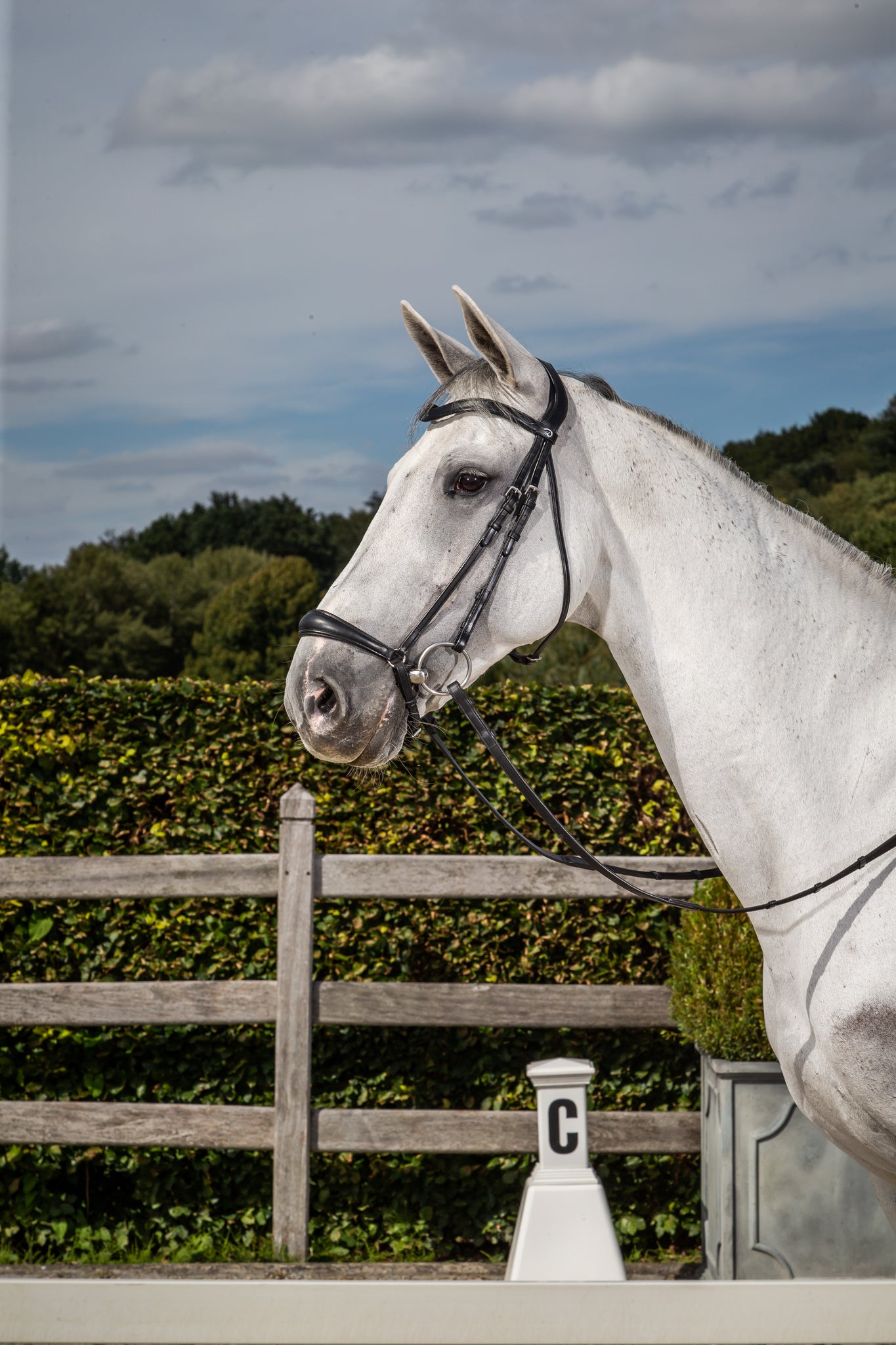 DY'ON DROP NOSEBAND BRIDLE