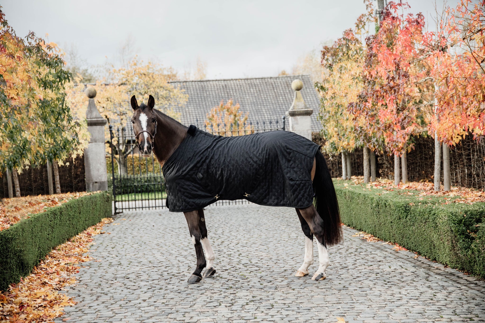 STABLE RUG