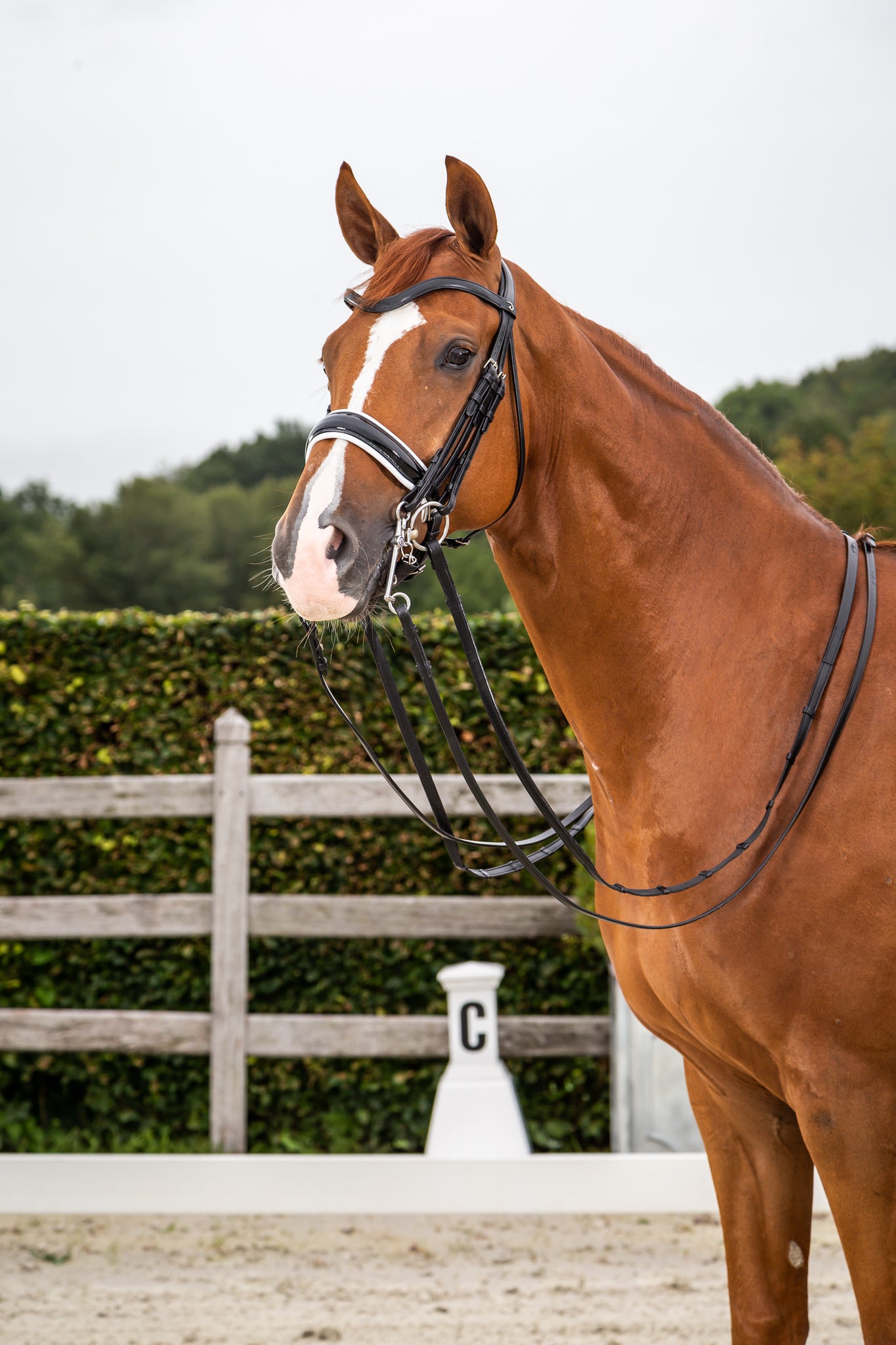 DY'ON MATTE LARGE CRANK NOSEBAND