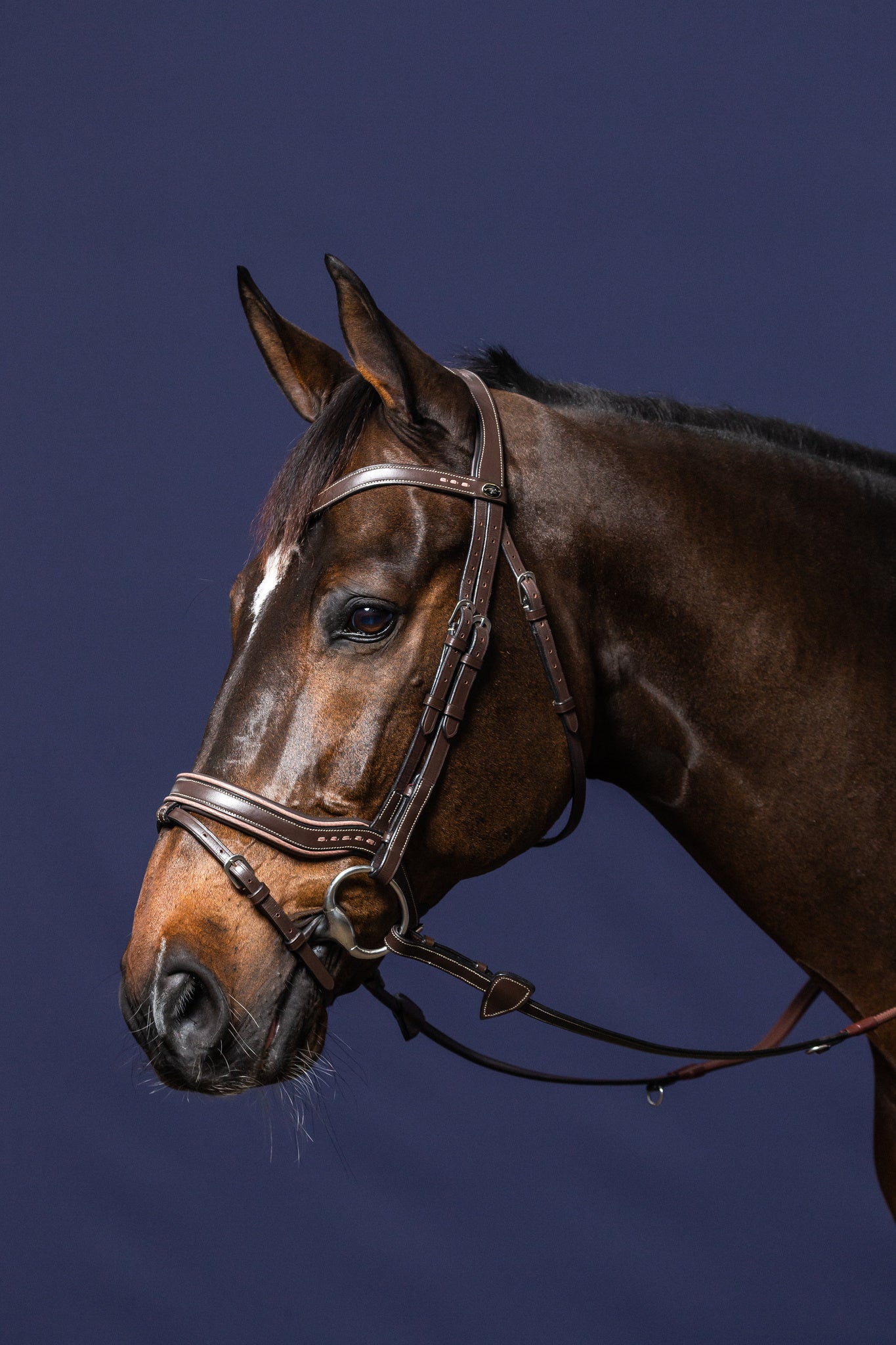 WORKING FIT BRIDLE